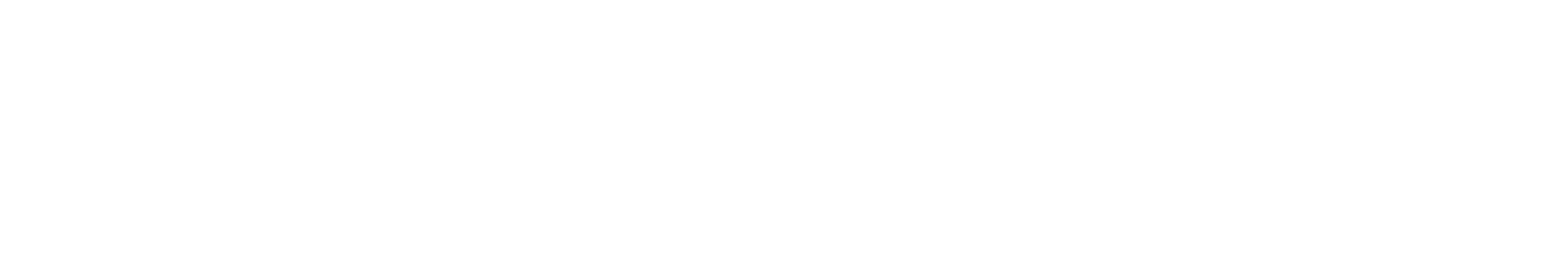 Vipul Pore And Company